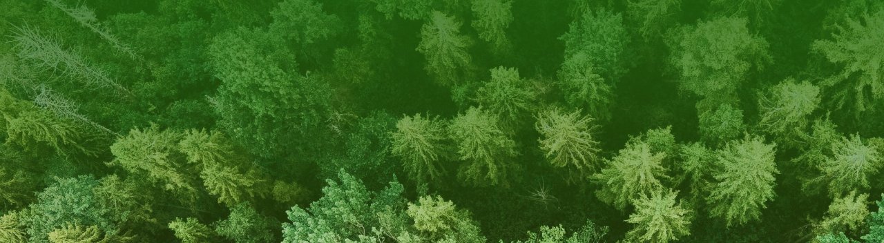 register your pipette and rainin will plant a tree